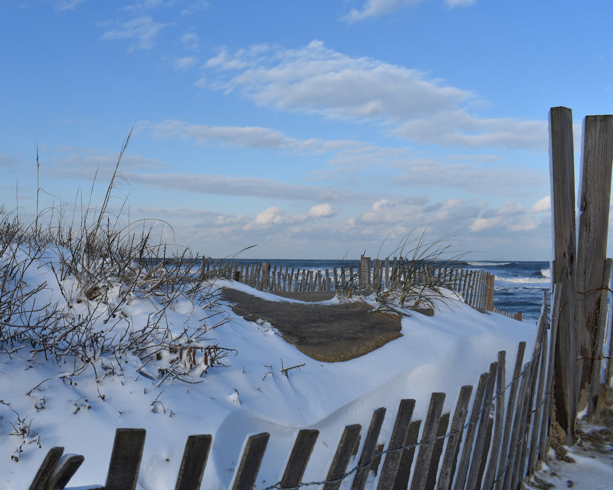 Snowy Dunes Outer Banks Borders Beach Shop
